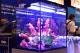AQUATOP Recife ECO 40 Gallon Tank